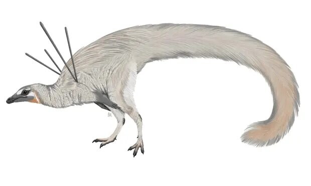 Se encuentra el que posiblemente sea el dinosaurio más raro hallado hasta la fecha Se encuentra el que posiblemente sea el dinosaurio más raro hallado hasta la fecha
