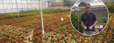 José González, experto en plantas: "Si vas a comprar una planta, desconfía de las plantas que son muy grandes y tienen una maceta pequeña"
