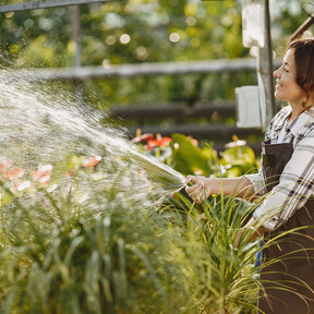 Lidl lanza una manguera que crece con el agua: alcanza los 30 metros, no le afecta el sol y pesa menos que las de siempre 