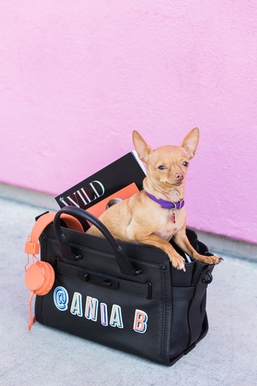 Celebres o no San Isidro, he aquí la lista musical perfecta para fin de semana