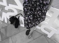 Viajar a través de las palabras: etimologías viajeras (II)