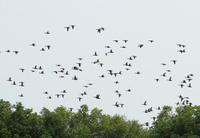 Ser un líder es un trabajo duro