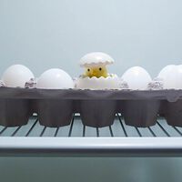 Ni una semana ni un mes: cuánto duran los huevos en el refrigerador