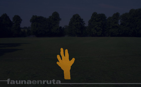 fauna en ruta: historia sin final