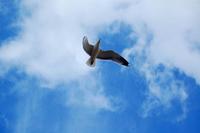 ¿La salida al paro está en trabajar por cuenta propia? 