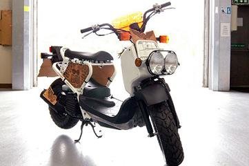 Stussy Zoomer