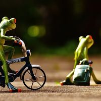 Razones para dejar tu trabajo a pesar de los tiempos que corren