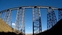 Tren a las Nubes: datos y consejos para la temporada 2010