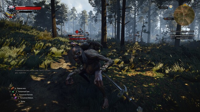The Witcher 3 (CD Projekt)