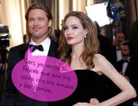 Brad Pitt y Angelina Jolie a lo Noé: llenan su casa de Francia de bichos