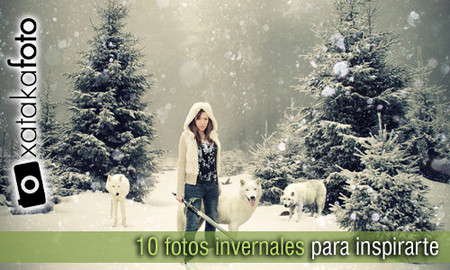 Consejos e ideas para inspirarte. 10 fotografías invernales