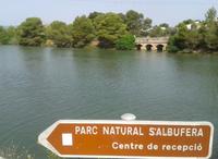 Recorriendo la Albufera de Mallorca