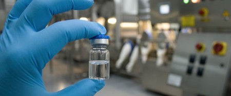 ¿Una nueva forma de usar células madre podría revertir la muerte?