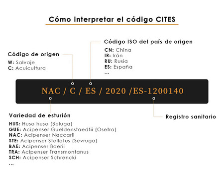 Código Cites
