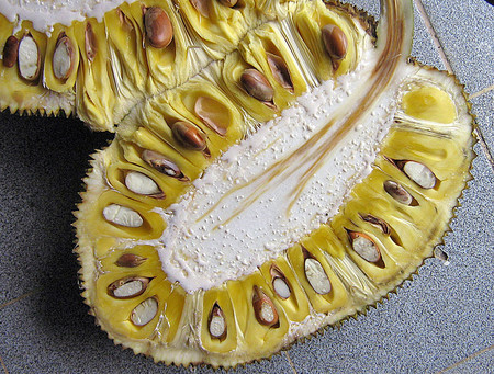 Yaca o jackfruit: propiedades, beneficios y su uso en la cocina