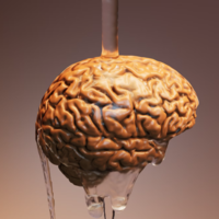 El psiquiatra que metió el Universo en una cáscara de nuez: cómo los hemisferios cerebrales conformaron el mundo occidental