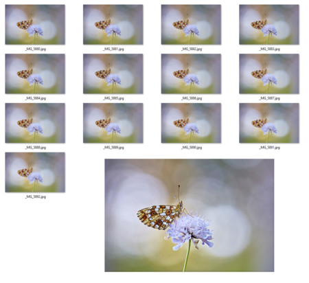 Focus stacking: cómo ampliar la profundidad de campo en fotografía macro (parte II)