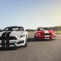 Ford suspende la fabricación del Shelby GT350, pero no por los motivos a los que ya nos están acostumbrando