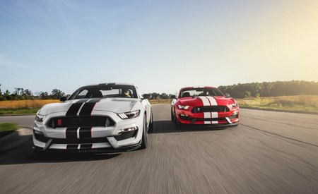 Ford suspende la fabricación del Shelby GT350, pero no por los motivos a los que ya nos están acostumbrando