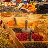 ¿Qué tipos de mercados existen?