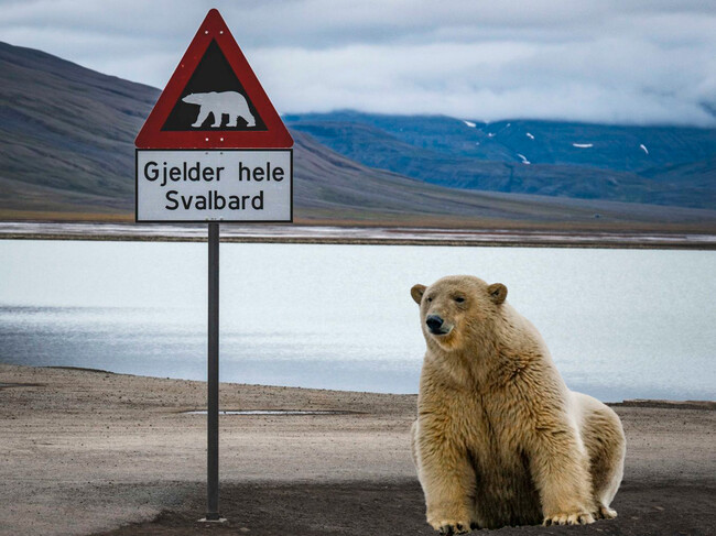 Oso Svalbard