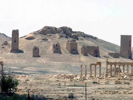 palmyra