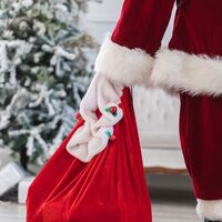 La OMS asegura que Papá Noel es inmune al Covid-19 y podrá entregar regalos a los niños en Navidad 