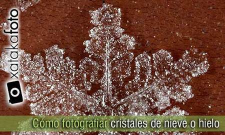 Cómo fotografiar cristales de nieve