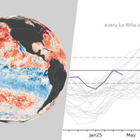 No sabemos nada de El Niño a estas alturas del año. Eso es un misterio meteorológico... y una buena noticia