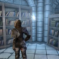 Un jugador de Skyrim se ha parado a leer todos los libros que hay dentro del juego y es como leer tres veces El Hobbit 