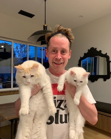 Macaulay Culkin cumple 40 años, ¡por fin se puede quedar solo en casa!
