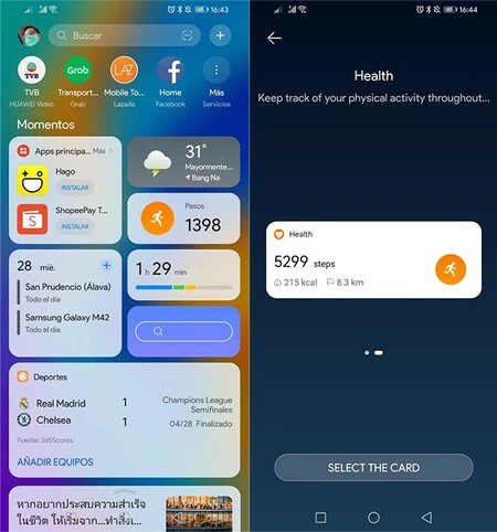 サンプルデンシオ