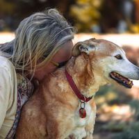 Tu perro aprende tus rutinas, tu voz y hasta tu olor. Por eso nota cuando no te sientes bien