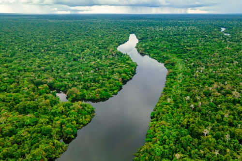 Amazonia. Créditos: banco de imagens