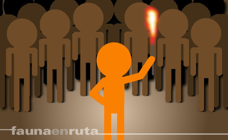 Colaboración ciudadana - turba - fauna en ruta