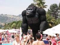 Sólo el 8% de las pymes se transforman en grandes empresas