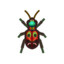 Tiger beetle