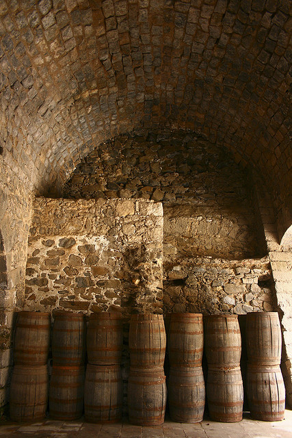 vinos mexico