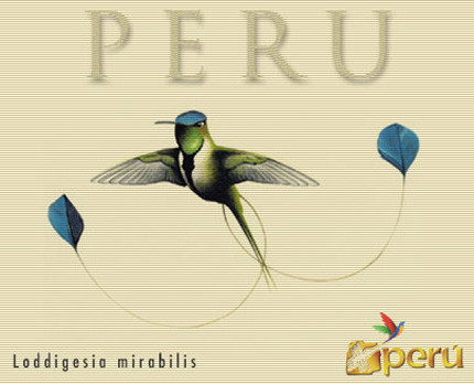 Perú: un paraíso para la observación de aves