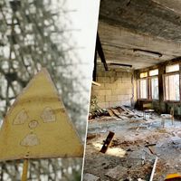 Llevábamos casi 40 años buscando la herencia genética de Chernóbil. Un nuevo estudio acaba de encontrarla 