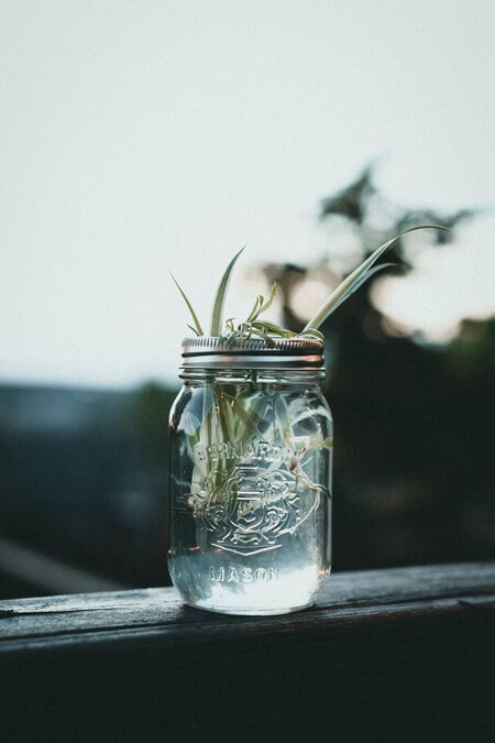 3 ideas para reciclar los frascos de aceitunas: decora tu hogar sin tirarlos