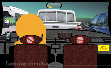 fauna en ruta: taxista sin cinturón