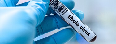 “Não há vacina licenciada ou terapia específica” — o que mudou do último surto de Ebola para o de 2026?  