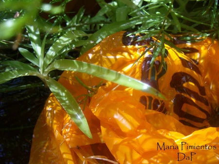 No uses bolsas de plástico o todos acabaremos comiéndolas