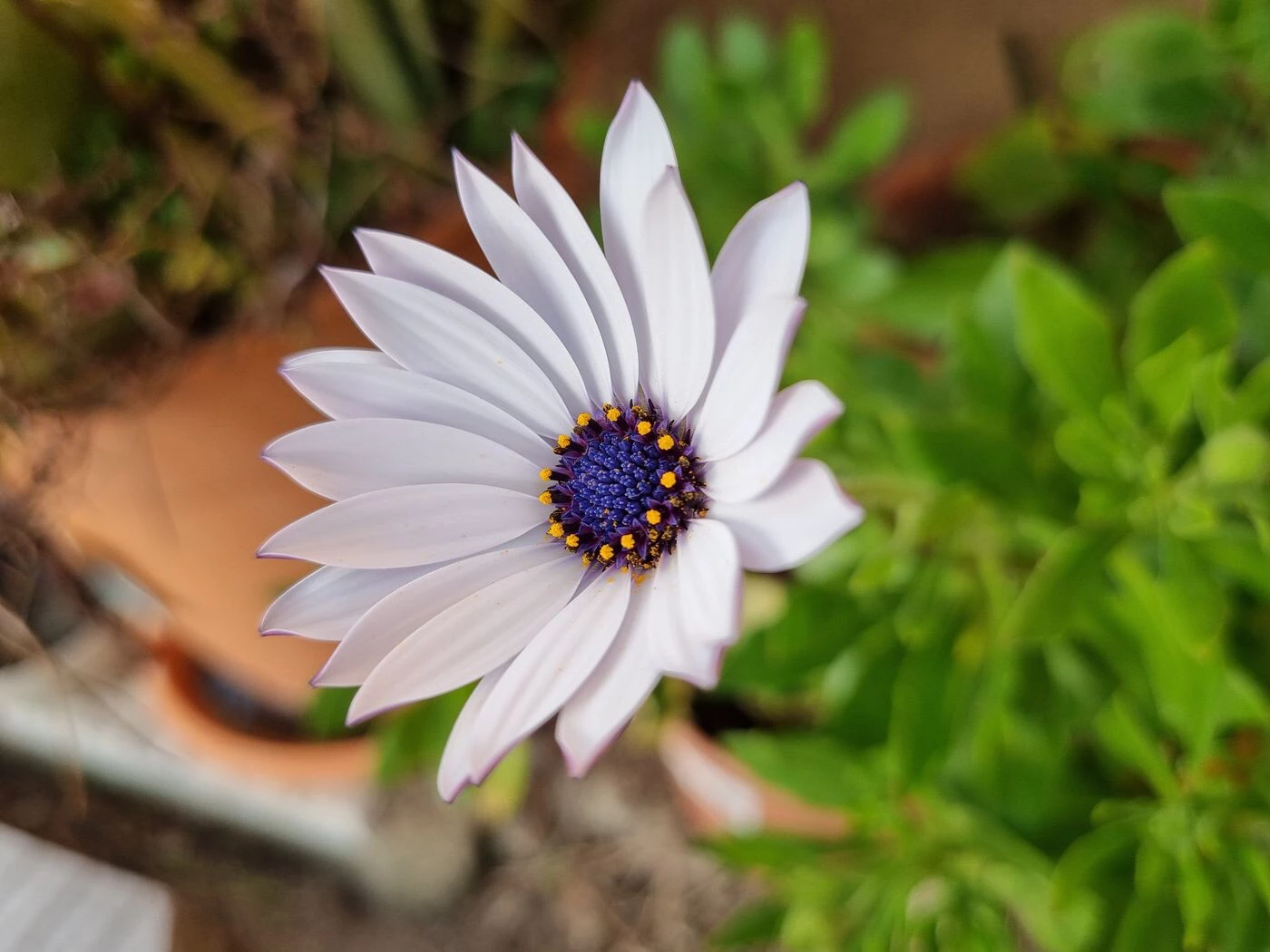 Galería de imágenes tomadas con el Samsung Galaxy S21