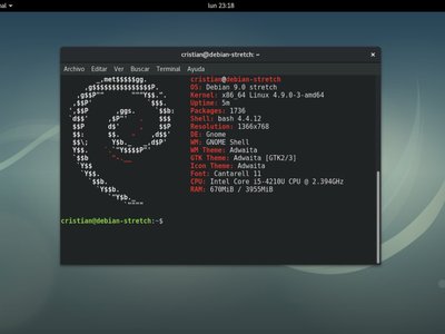 Microsoft y Debian lideran la lista de productos con más vulnerabilidades en los últimos 20 años