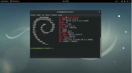 Microsoft y Debian lideran la lista de productos con más vulnerabilidades en los últimos 20 años