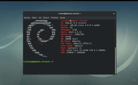 Microsoft y Debian lideran la lista de productos con más vulnerabilidades en los últimos 20 años