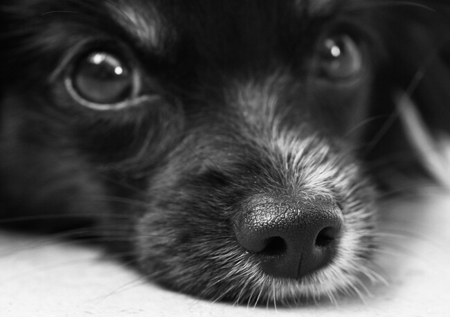 Black And White