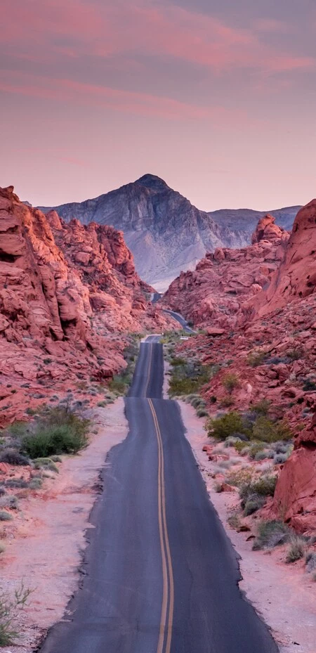 マドゥ シェシャラム Kqzzcvyewvk アンスプラッシュ